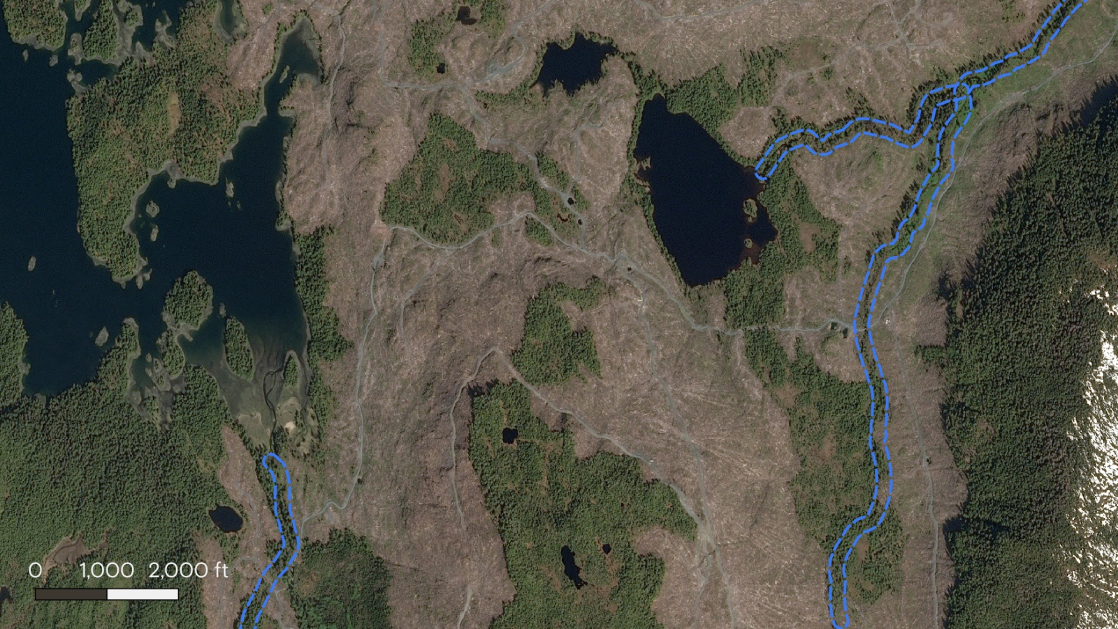 A satellite photo showing clear-cut logging on McKenzie Inlet in Southeast Alaska. Blue dashed lines indicate 100-foot buffers around fish-bearing streams. Loggers have cut close to the streams.